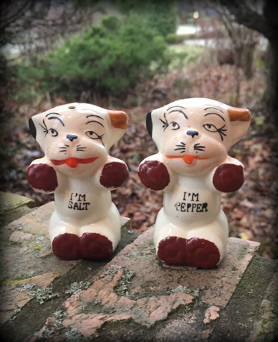 Bonzo Salt Pepper - Etsy