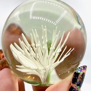 May include: A clear glass sphere with a white, spiky floral design encased within. The sphere has a slight yellow tint and is held by a person with colorful nail polish.
