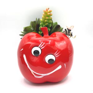 May include: A glossy red apple-shaped planter with a smiling face, holding a succulent plant. A decorative bee rests on the side. The planter is a unique decorative item for home or garden decor.