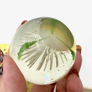May include: A clear glass paperweight with a white and green floral design encased within. The paperweight has a spherical shape and is held in a person's hand. The design features white, elongated shapes and green leaf-like elements.