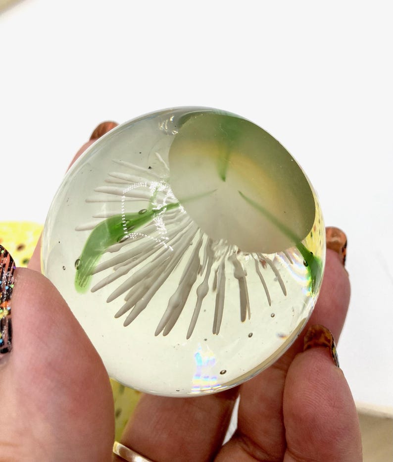 May include: A clear glass paperweight with a white and green floral design encased within. The paperweight has a spherical shape and is held in a person's hand. The design features white, elongated shapes and green leaf-like elements.