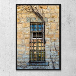 May include: A framed photograph of a window with a metal grate set into a stone wall. The window is surrounded by a climbing vine. The stone wall is made of light brown bricks.