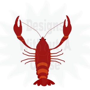 Gambero SVG PNG