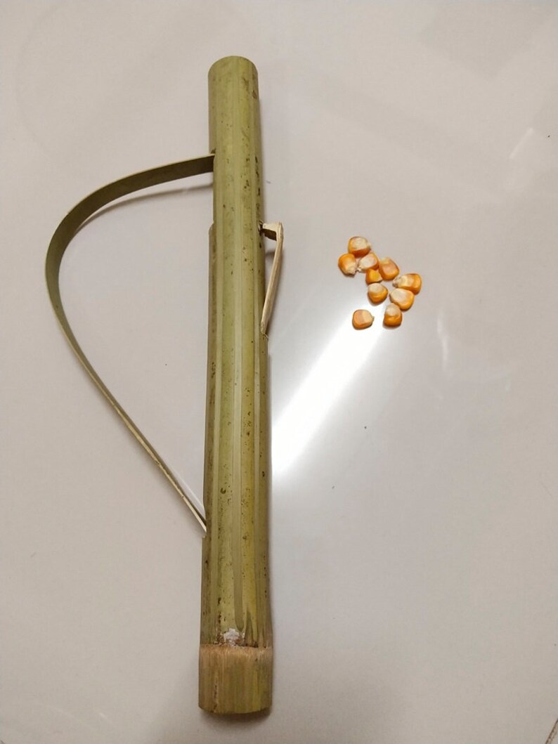 Bamboo Toy Gun 10 Corn Kernels.1 Set Contains 10 Pieces. Etsy