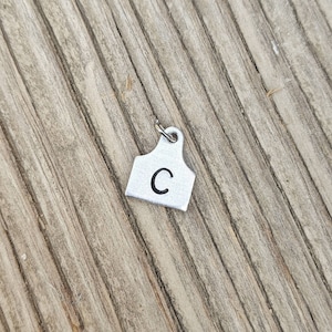 May include: A silver metal livestock ear tag with the letter "C" engraved on it.