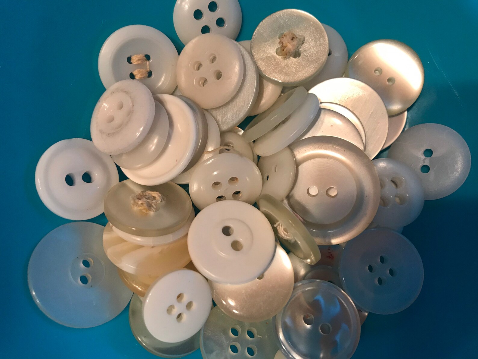 Button Button White Assorted Bulk 50ct Clear Decorative Etsy