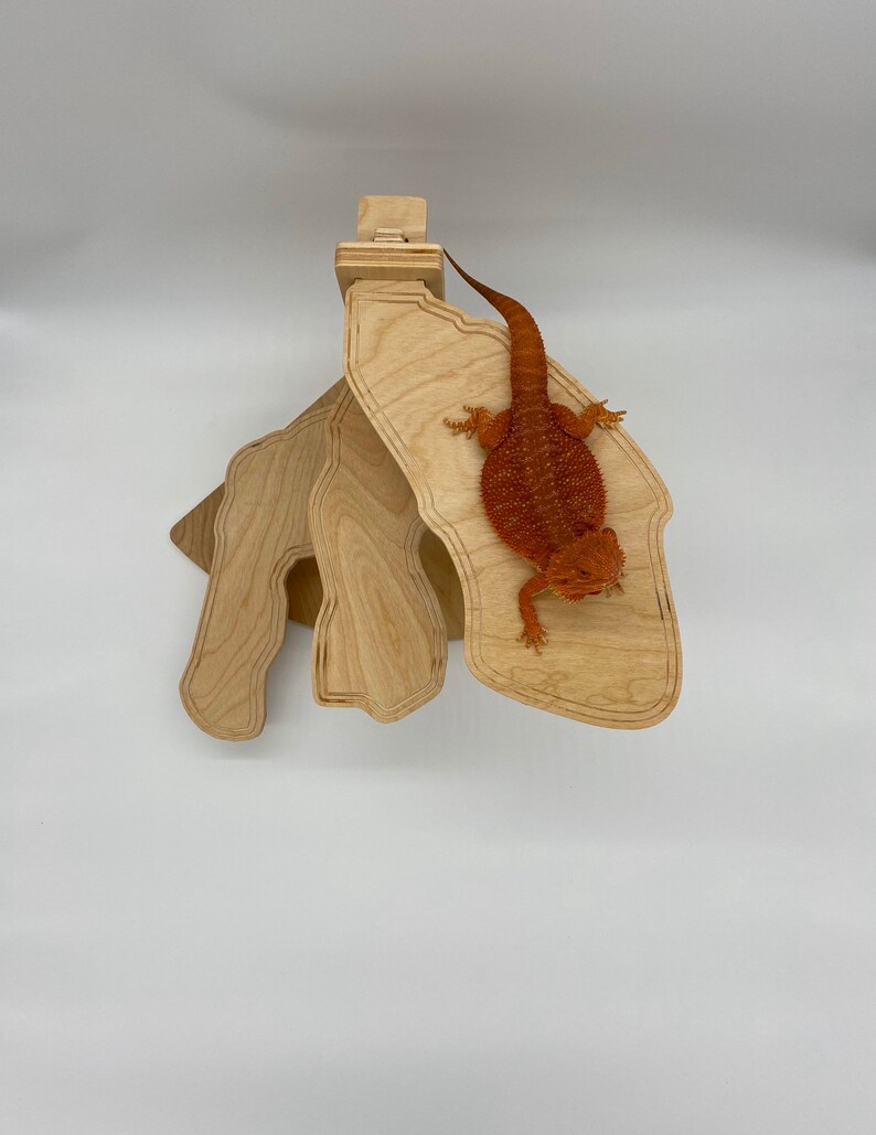 Reptile Habitat Bearded Dragon Accessories Terrarium Decor Etsy