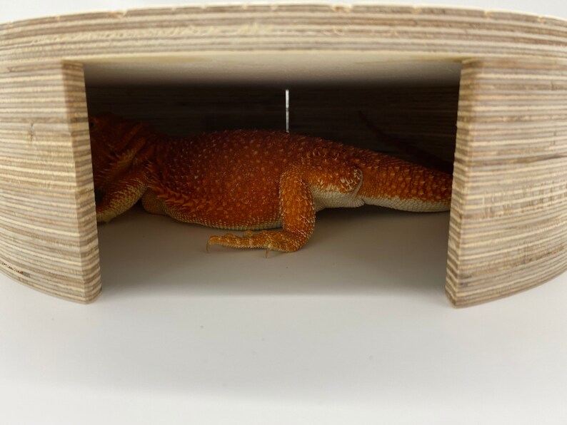 Reptile Hide Cave Reptile Accessories Leopard Gecko Hide Ball Python Hide Bearded Dragon Cave Reptile Furniture image 8