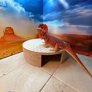 Reptile Hide Cave Reptile Accessories Leopard Gecko Hide Ball Python Hide Bearded Dragon Cave Reptile Furniture image 5