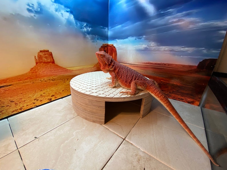 Reptile Hide Cave Reptile Accessories Leopard Gecko Hide Ball Python Hide Bearded Dragon Cave Reptile Furniture image 5