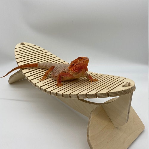 Bearded Dragon Hammock Reptile Lounge Reptile Baskting Etsy