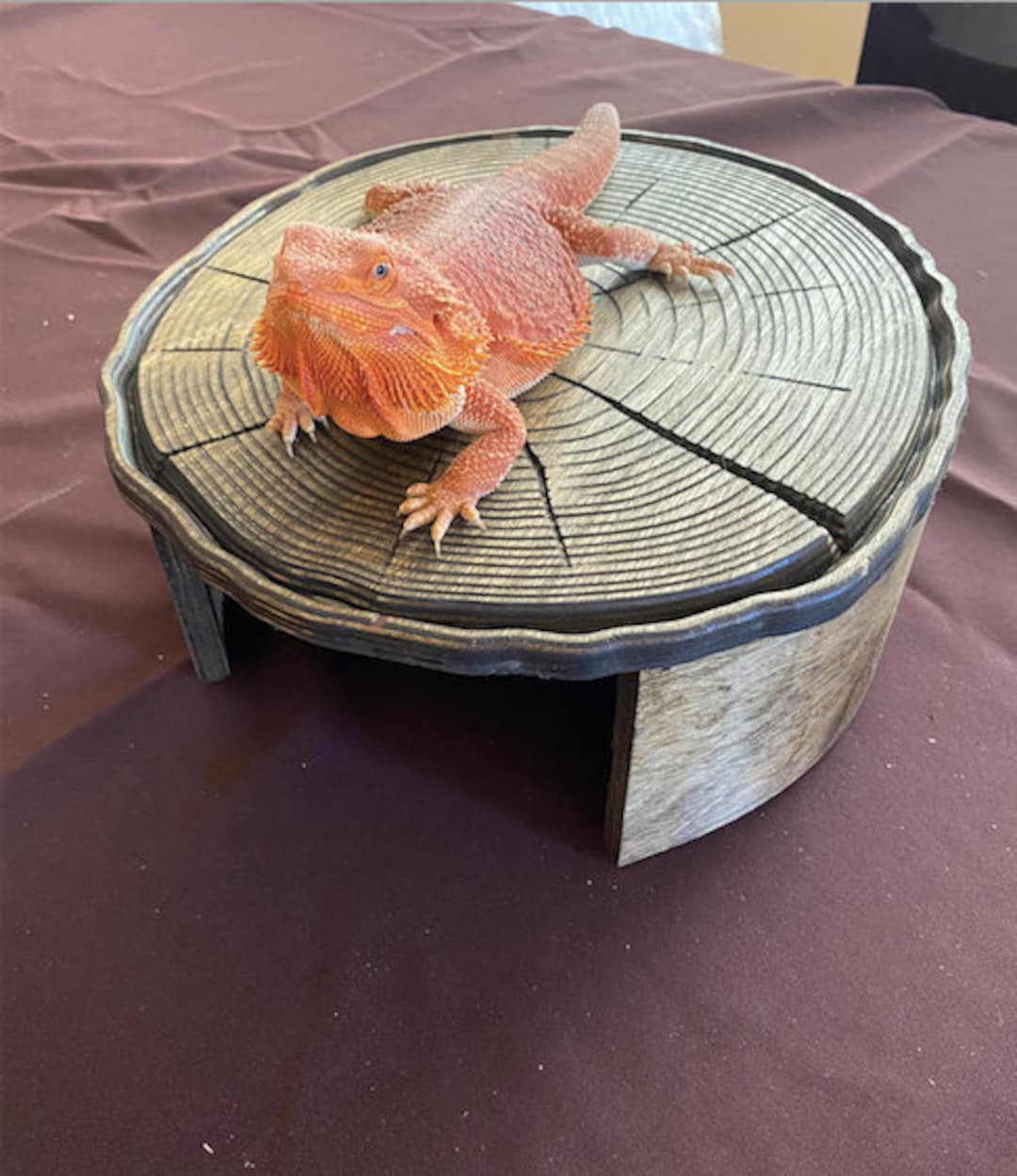 Walnut bedding clearance for bearded dragons