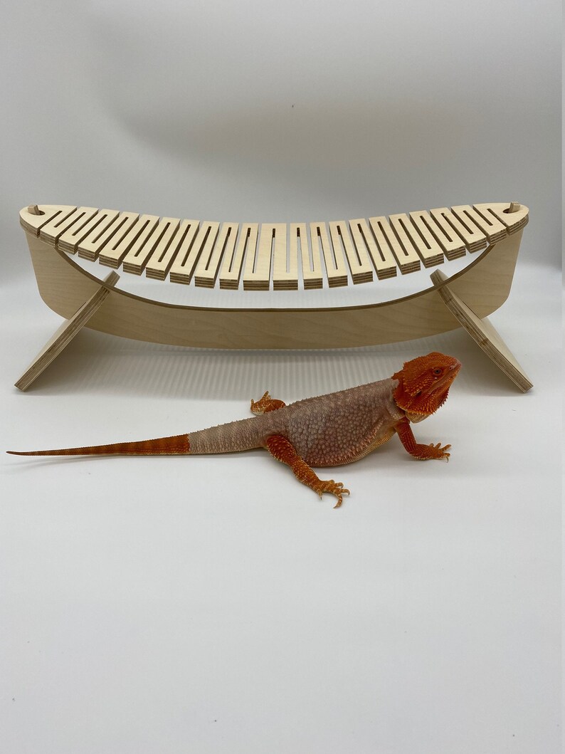 Bearded Dragon Hammock Reptile Tank Decor Reptile Hammock Etsy UK