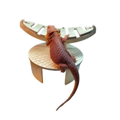 bearded dragon cuddle cave