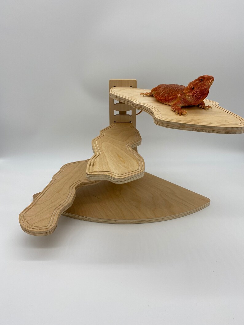 Aazon.co : Natural Resin Siulation Tree Clibing Frae For Reptiles