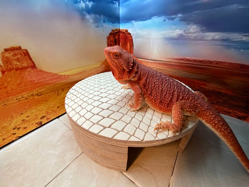 Reptile Hide Cave Reptile Accessories Leopard Gecko Hide Ball Python Hide Bearded Dragon Cave Reptile Furniture image 3