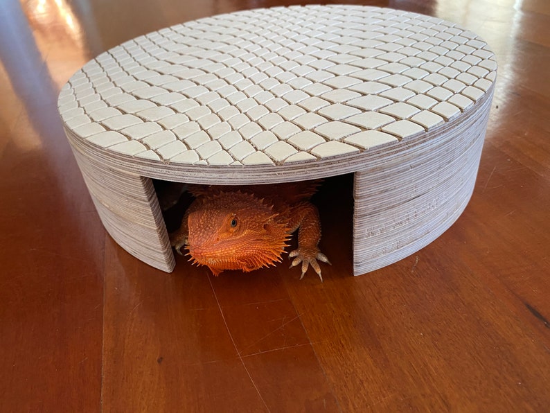 Reptile Hide Cave Reptile Accessories Leopard Gecko Hide Ball Python Hide Bearded Dragon Cave Reptile Furniture image 6