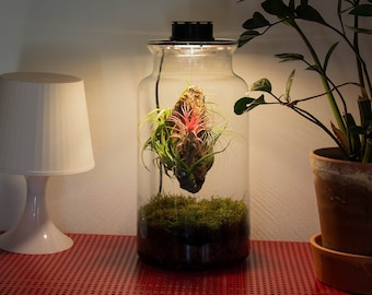 May include: A clear glass jar terrarium with a small plant growing inside. The jar has a black lid and a light inside. The terrarium is sitting on a red metal table.