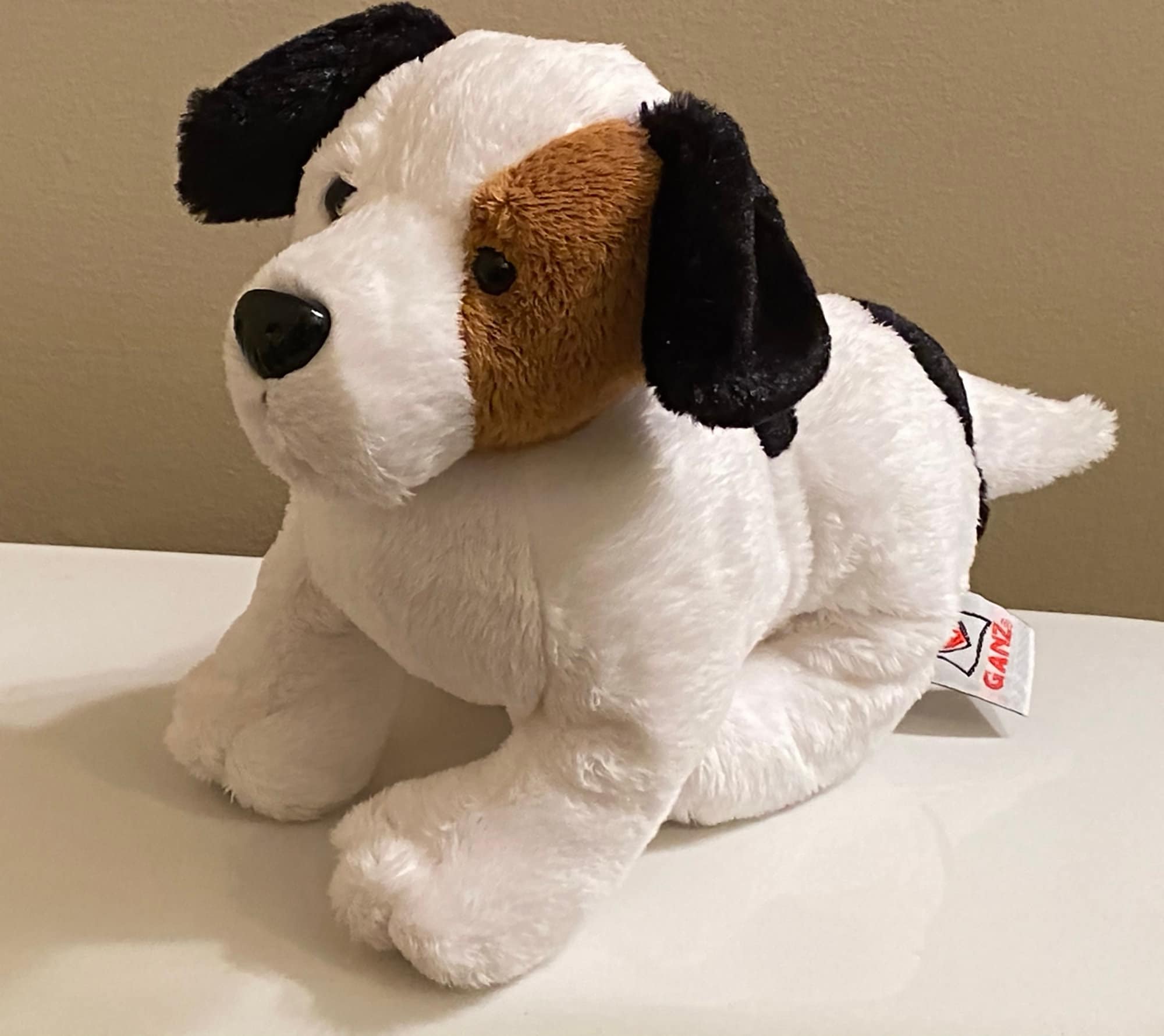 Webkinz hot sale jack russell