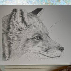 Fox Print