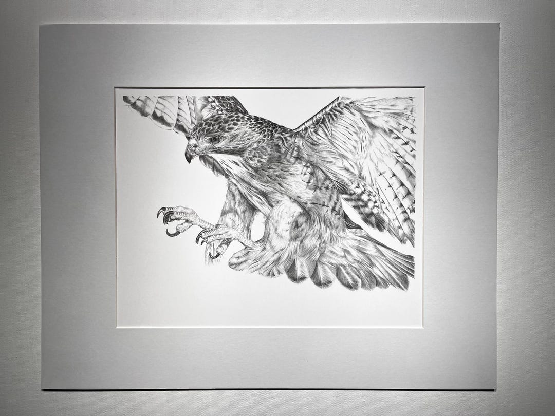 Hawk Rip Print Red Tailed Hawk Print - Etsy