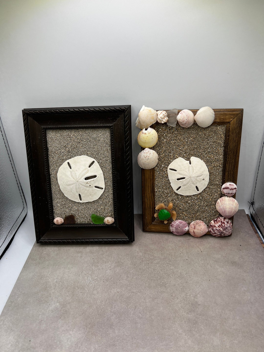 Sea Glass Home Decor, Sea Glass Craft, Sand Dollar Picture, Sand Dollar