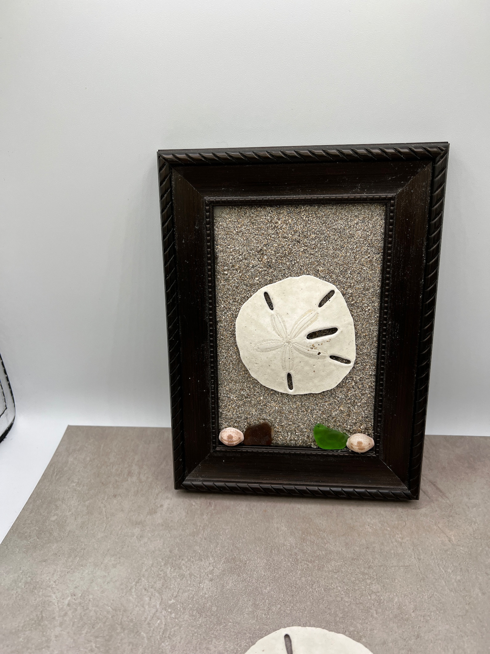 Sea Glass Home Decor, Sea Glass Craft, Sand Dollar Picture, Sand Dollar