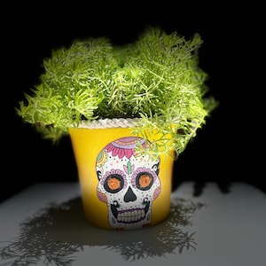 Mexican Sugar skull pot, Day of the Dead, hand painted pot, Mexican calavera, traditional, Día de los Muertos