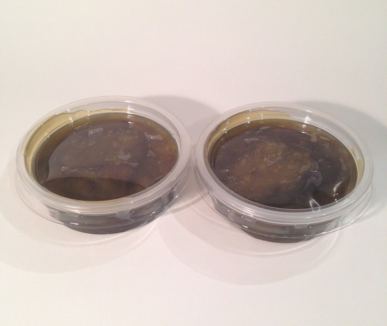 May include: Two small clear plastic containers filled with a dark brown, viscous liquid. The liquid has a slightly grainy texture.