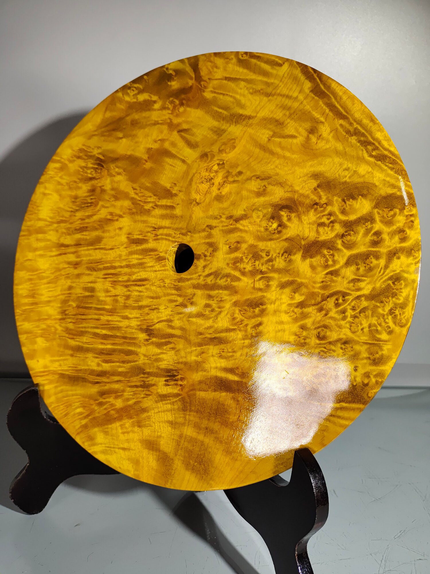 Golden Nanmu Plant For Sale