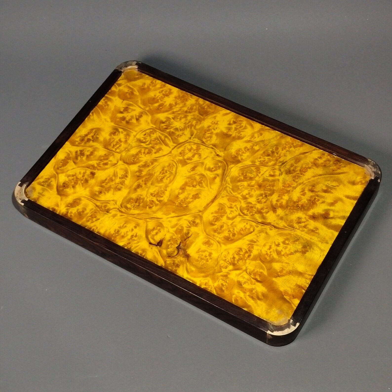 Golden Nanmu Plant For Sale