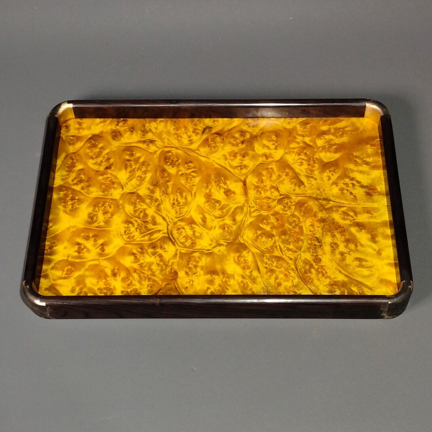 Golden Nanmu Plant For Sale