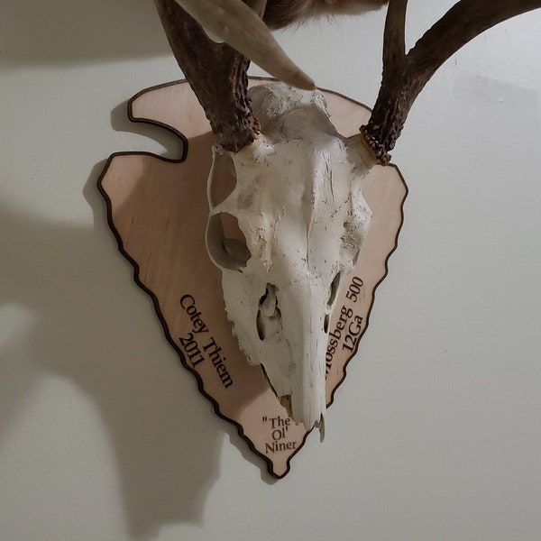 Custom Arrow Head Euro Style Deer Skull Mount