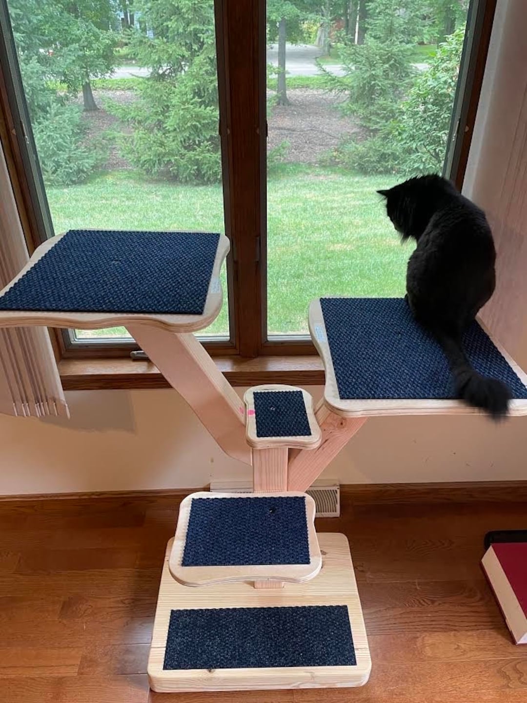 化猫 il_1080xN.5193561103_o93g.jpg