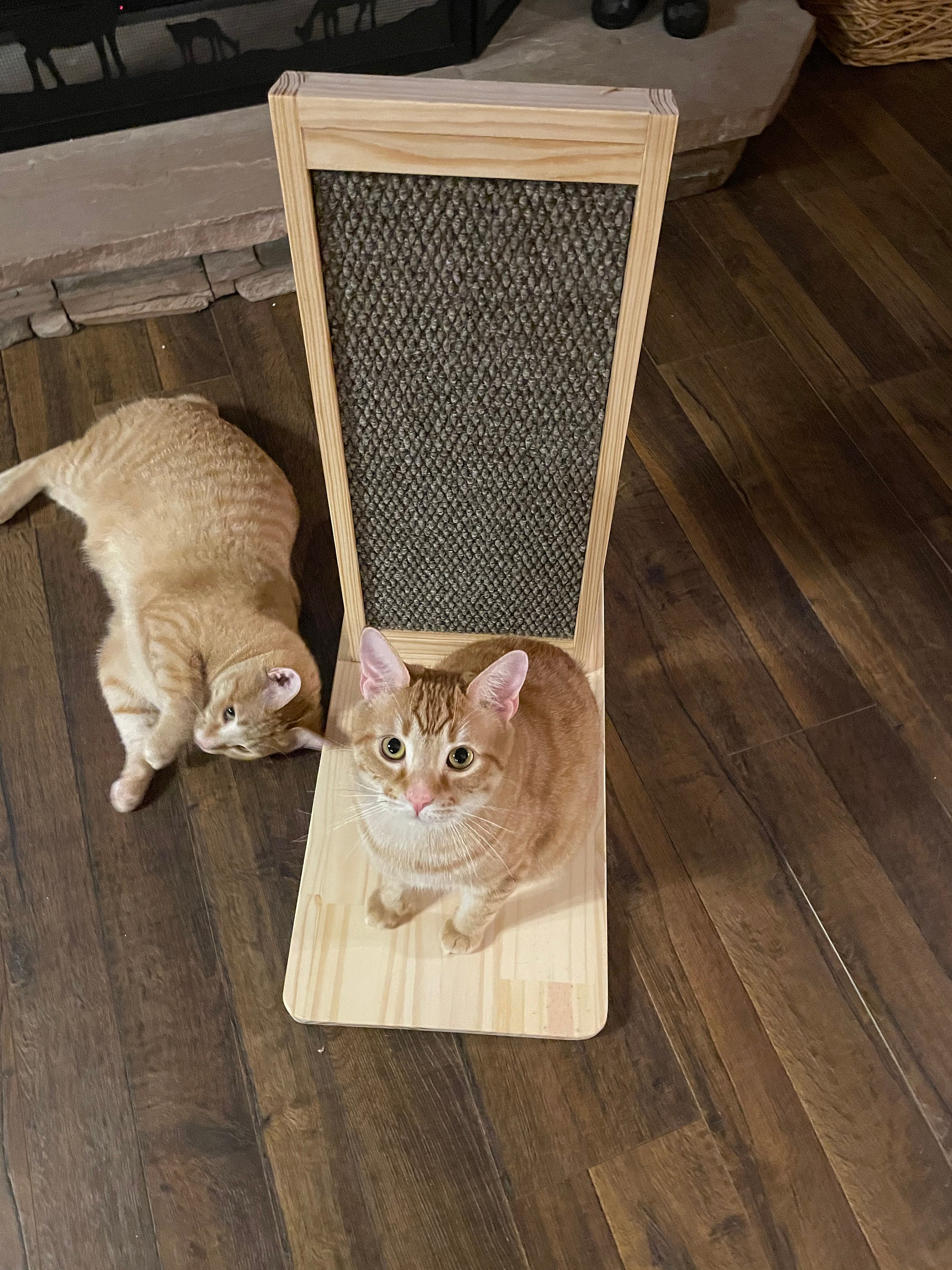 BIGGER Cat Mess Free Scratching Post The UP by JMLPets Etsy