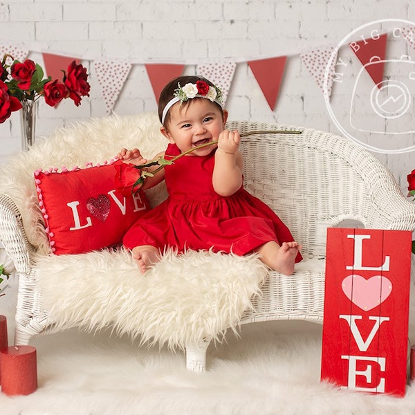 Valentine's Day LOVE Digital Photography Backdrop Background