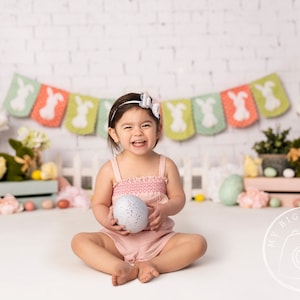 EASTER Pastels Spring Bunnies Digital Photography Backdrop Background for Easter and Spring Photo Sessions