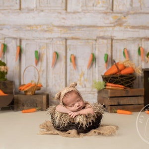 EASTER and SPRING Vintage Rustic Newborn Digital Photography Backdrop Background for Easter and Spring Photo Sessions
