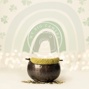 May include: A brown metal pot with a green crocheted lid, surrounded by gold coins, against a background of a green and white rainbow with shamrock designs and white lights.