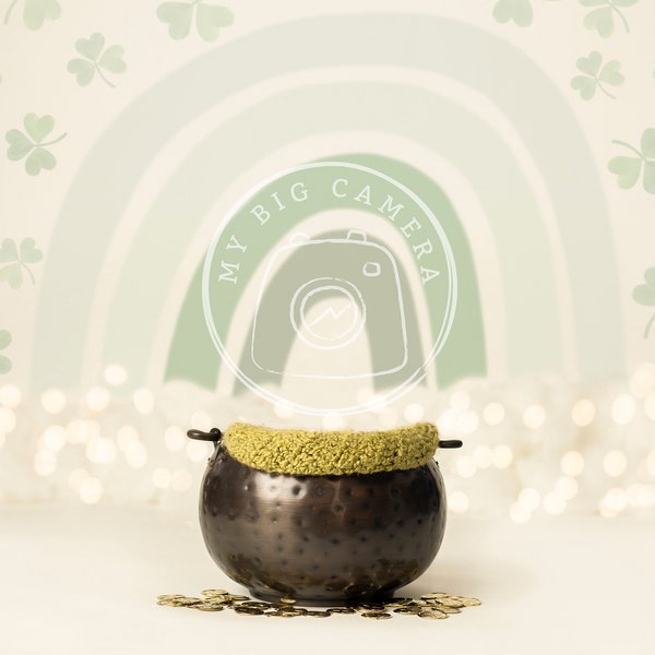 St. Patrick's Day Boho Rainbow Pot of Gold Newborn Photography Digital Backdrop Background