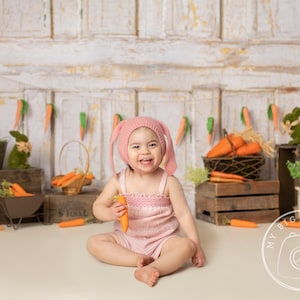 EASTER and SPRING Vintage Rustic Digital Photography Backdrop Background for Easter and Spring Photo Sessions