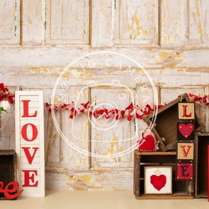Valentine&#39;s Day mini sessions Digital Photography Backdrop (includes commercial license)