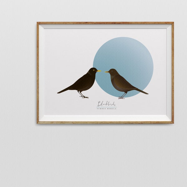 Mr &mrs Amsel Grafik Vogel Druck