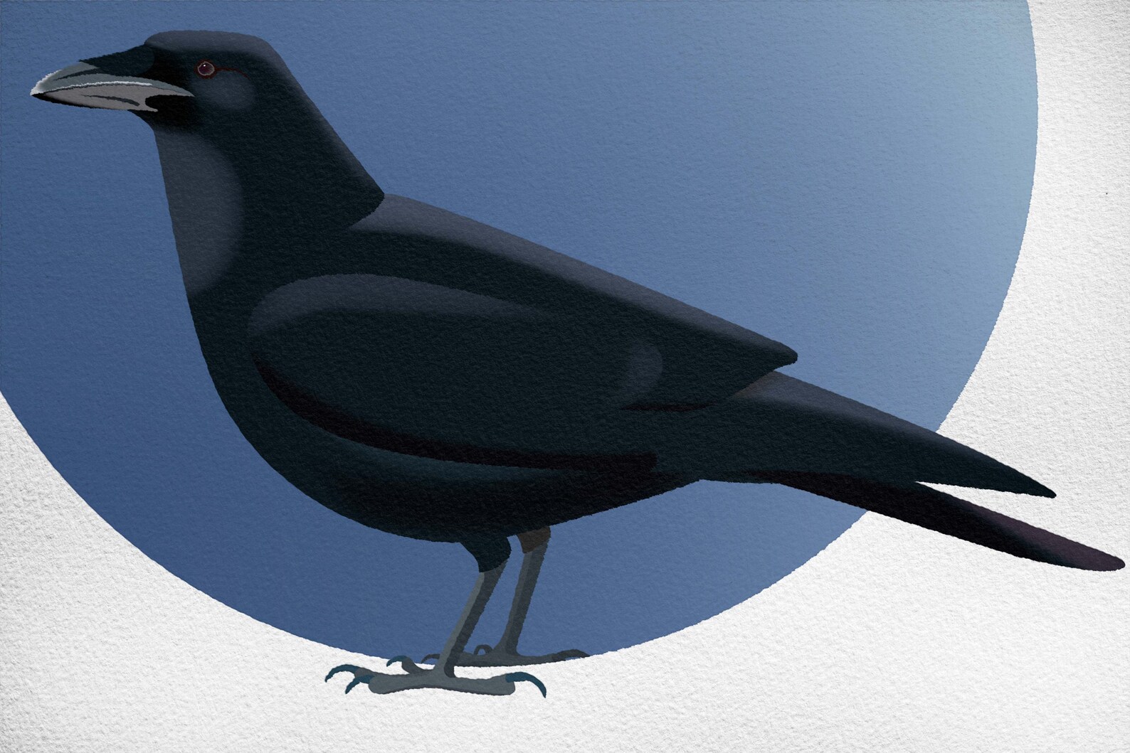 Raven Graphic Art Bird Print - Etsy