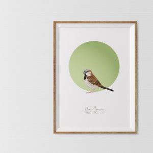 Sparrow Graphic Art Bird Print