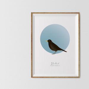 Blackbird Graphic Art Bird Print