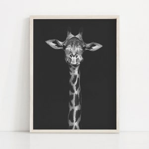Giraffe Print, Giraffe Wall Art, Giraffe Poster, Giraffe Pictures, Animals Pictures, Animals Poster, Digital download.