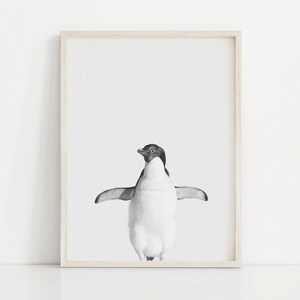 Penguin Print, Penguin Wall Art, Penguin Poster, Penguin Pictures, Penguin Pictures, Penguin Poster, Digital download.