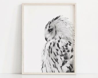 Owl Print, Owl Wall Art, Owl Poster, Animals Pictures, Animals Poster, Owl Pictures, Digital download.