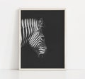 Zebra Print, Zebra Wall Art, Zebra Poster, Zeba Pictures, Animals Pictures, Animals Poster, Digital download. product logo